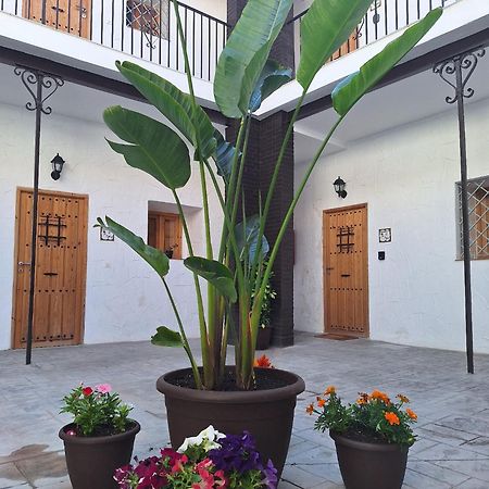 Suite San Mateos 15 Jerez de la Frontera Exterior foto