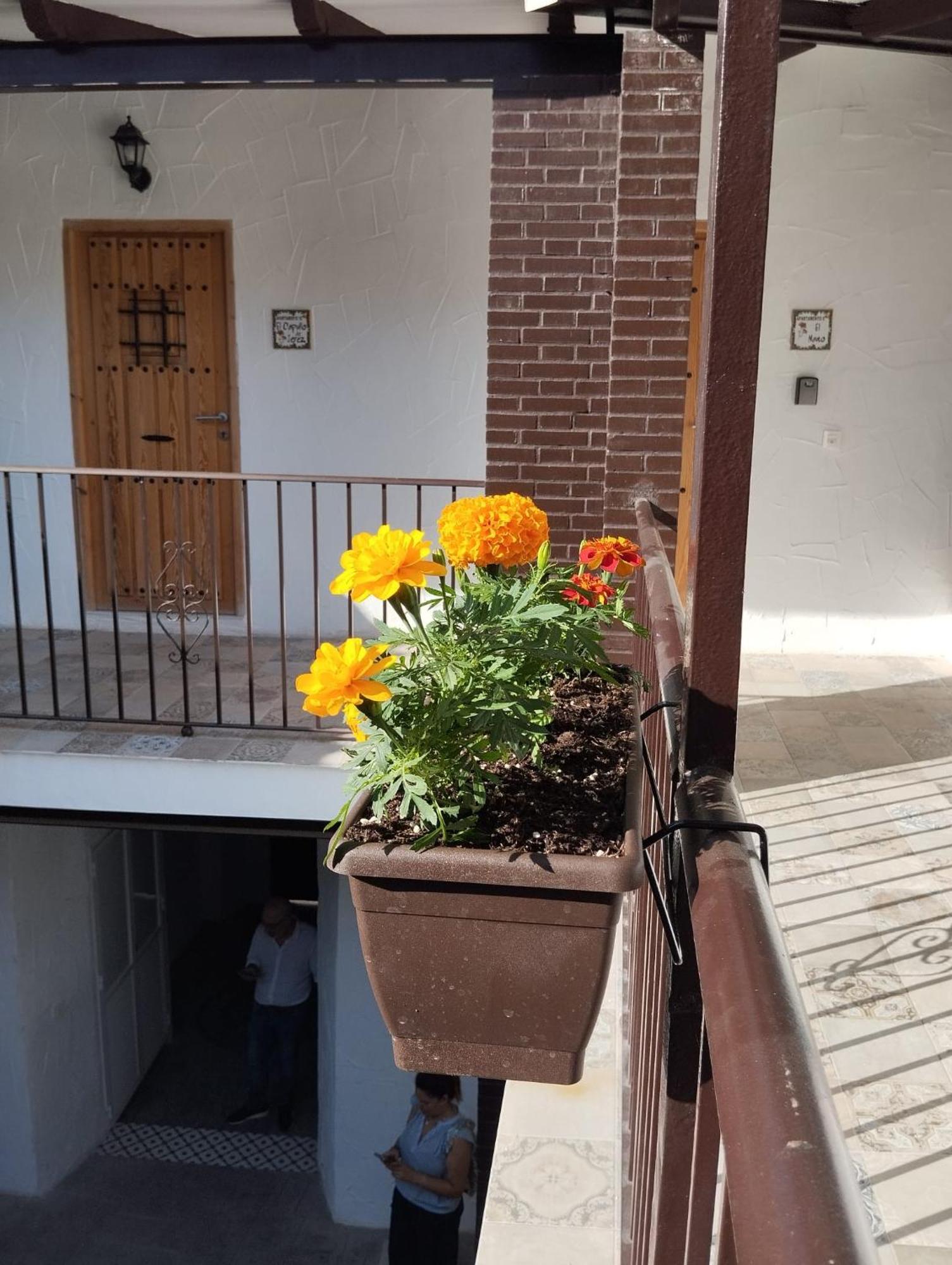 Suite San Mateos 15 Jerez de la Frontera Exterior foto